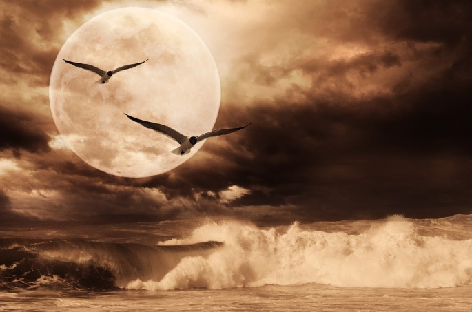 Gabriel Sánchez García-Pardo relato El Faro de ada